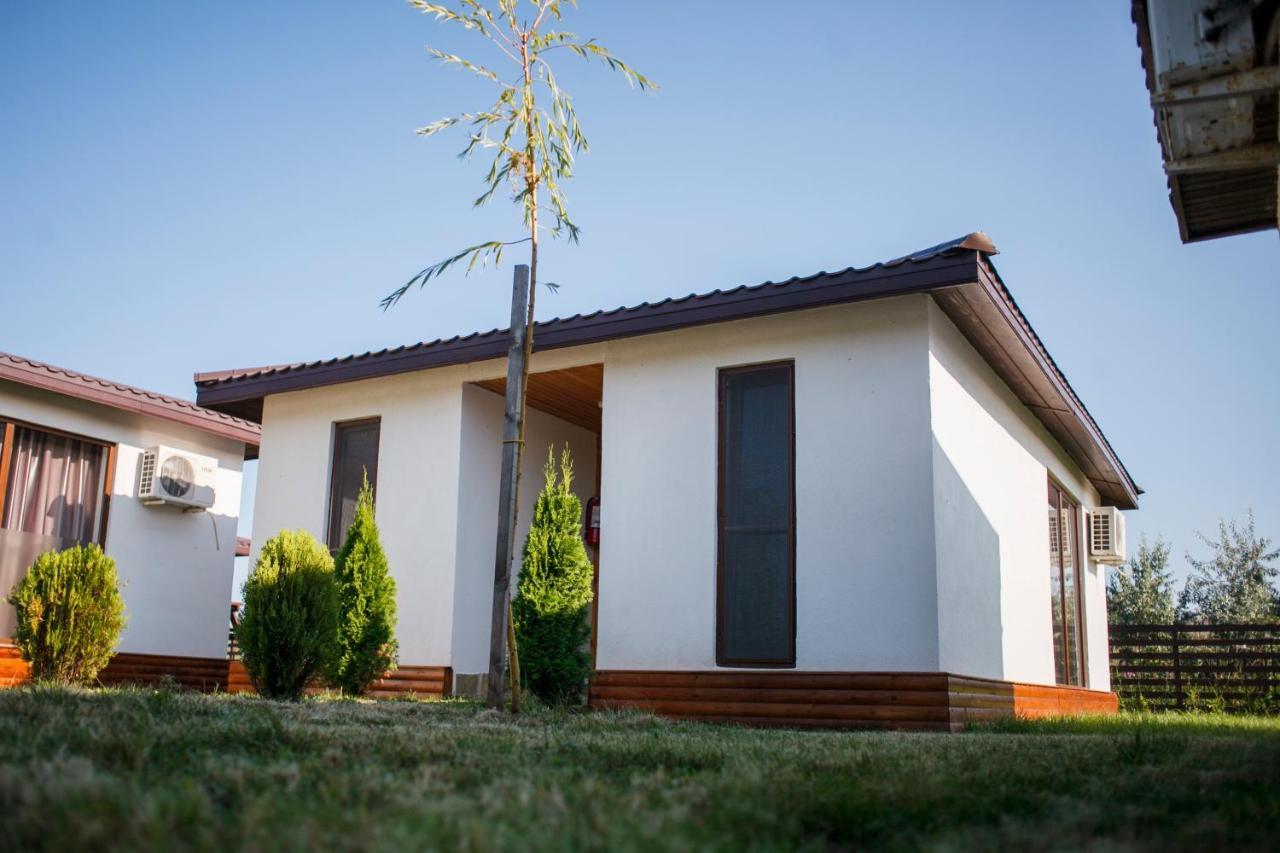 Marina Surf Hotel Năvodari Buitenkant foto