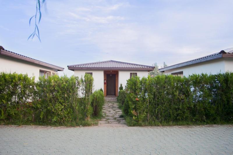 Marina Surf Hotel Năvodari Buitenkant foto